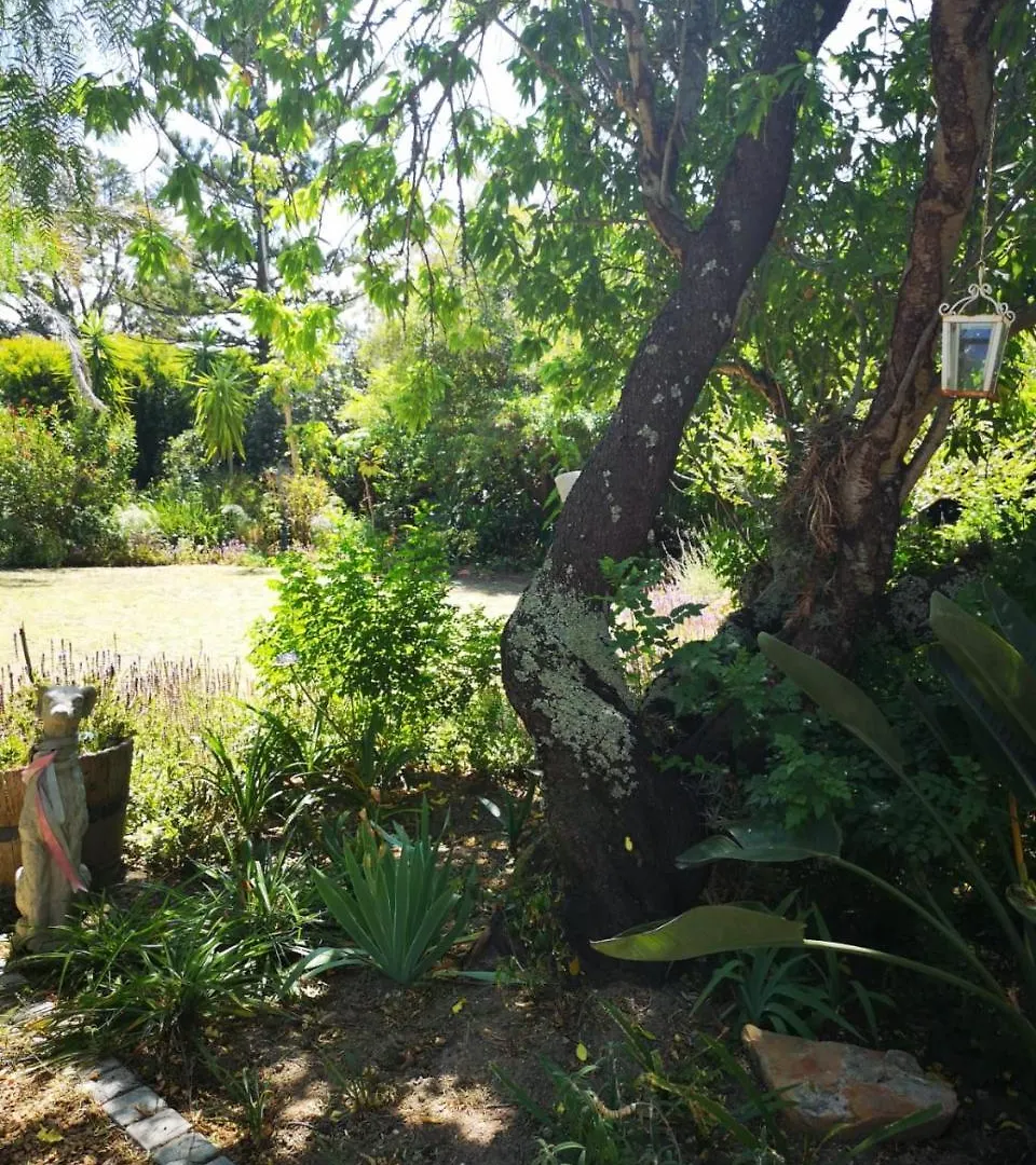 Almond Cottage Bed & Breakfast Somerset West