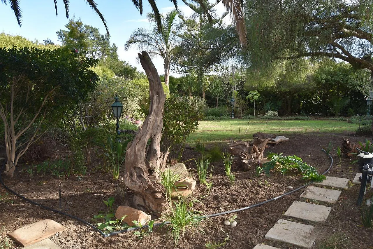 Almond Cottage Bed & Breakfast Somerset West