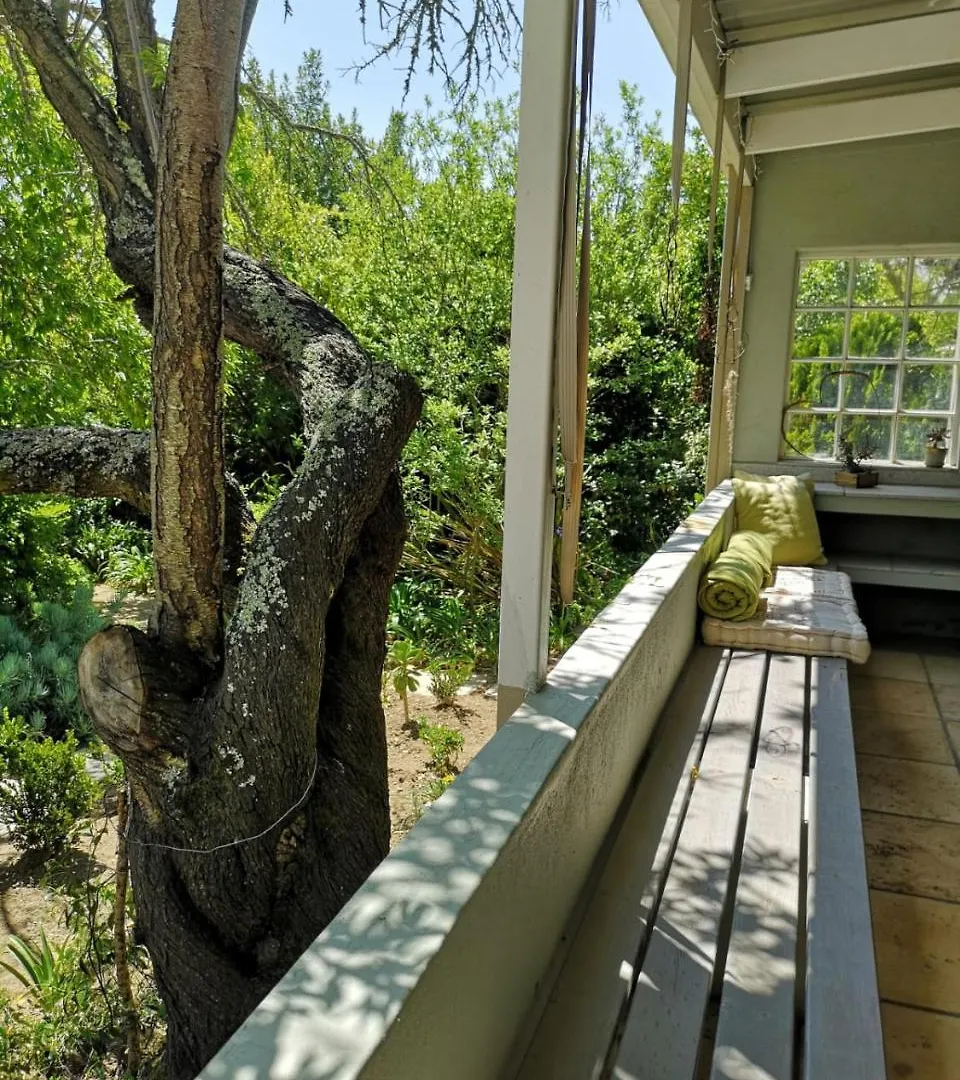 Almond Cottage Bed & Breakfast Somerset West